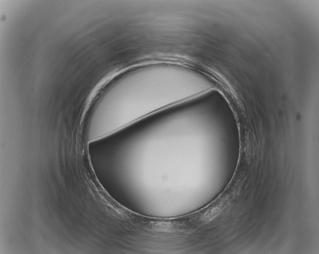 X0000086281172200703291055