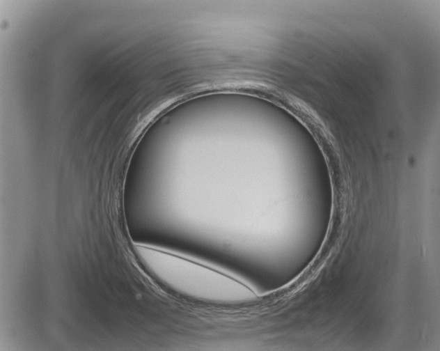 X0000086281177200703291055