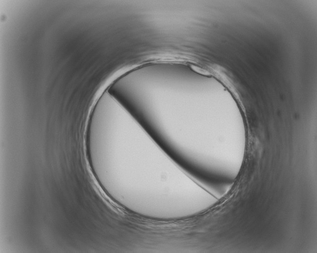 X0000086281195200703291055