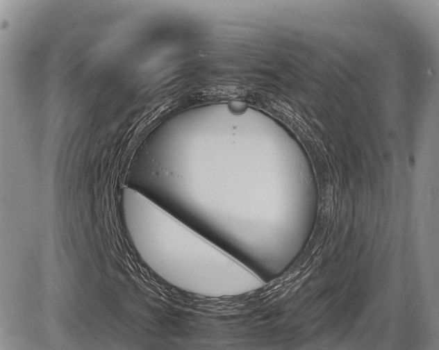 X0000086281201200703291054