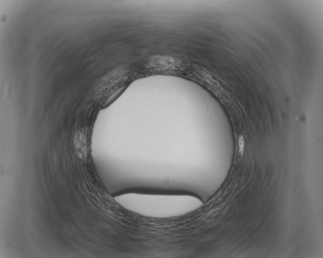 X0000086281203200703291054