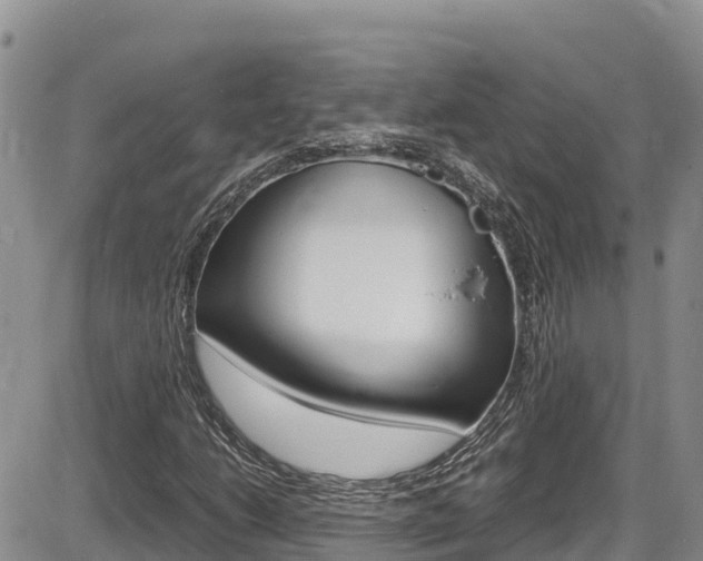 X0000086281206200703291054