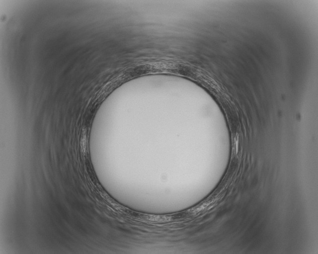 X0000086281251200703291054