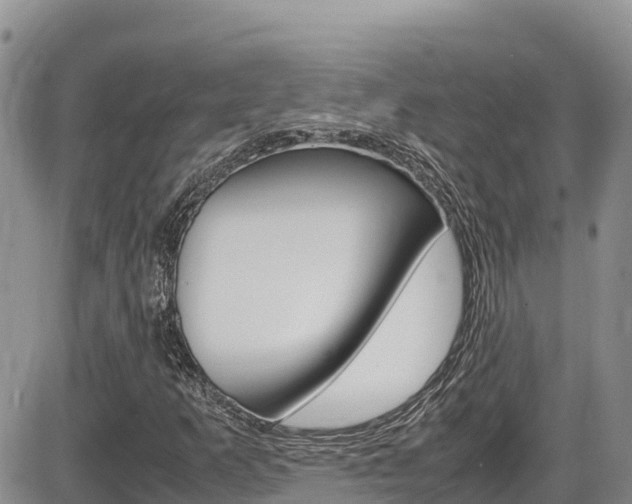 X0000086281253200703291054