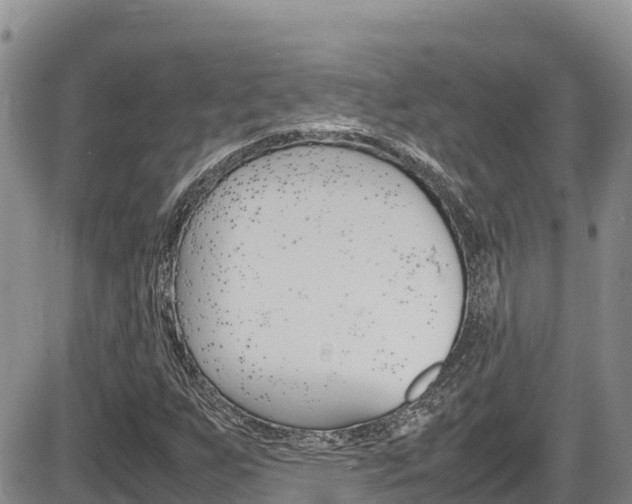 X0000086281255200703291054
