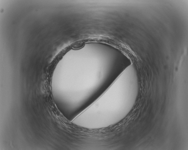 X0000086281256200703291054