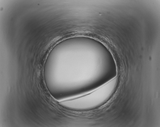 X0000086281257200703291054