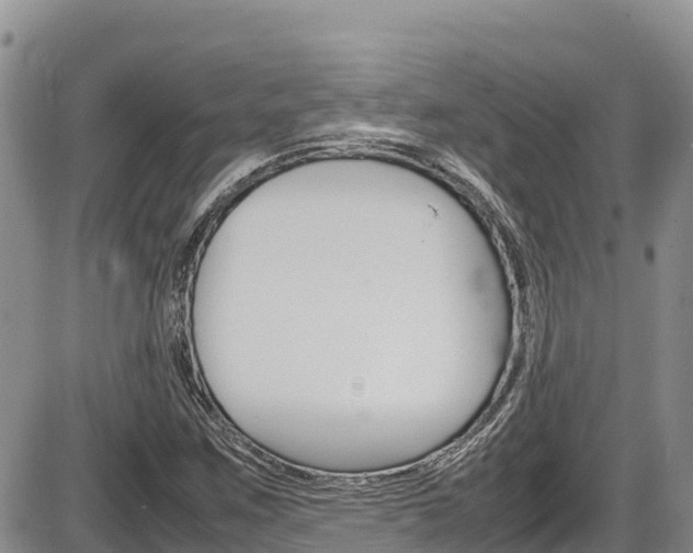 X0000086281259200703291054