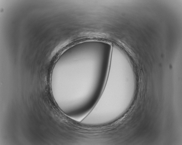 X0000086281261200703291054