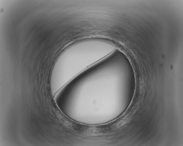 X0000086281265200703291054