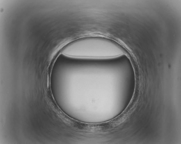 X0000086281269200703291053