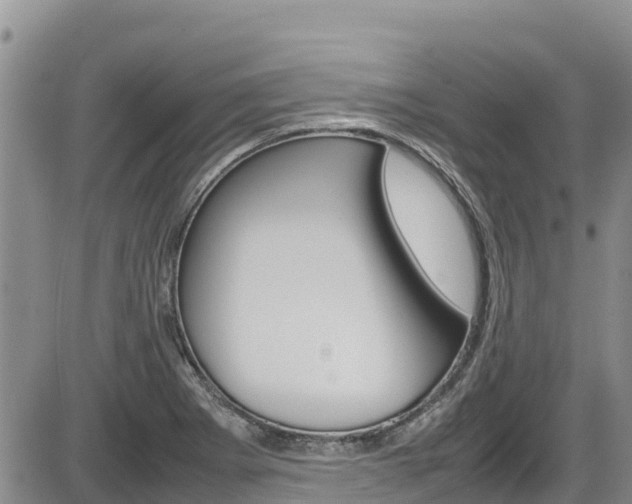X0000086281273200703291053