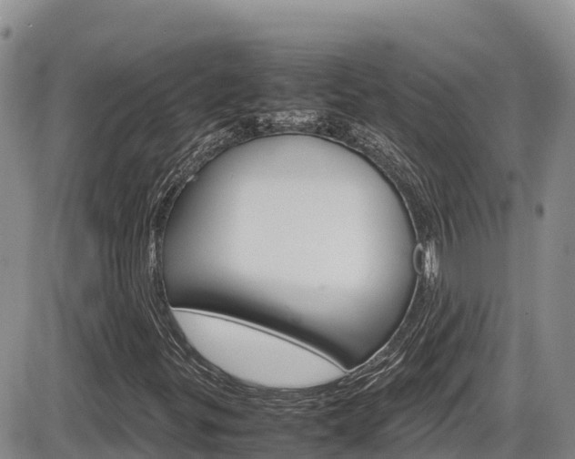 X0000086281299200703291052