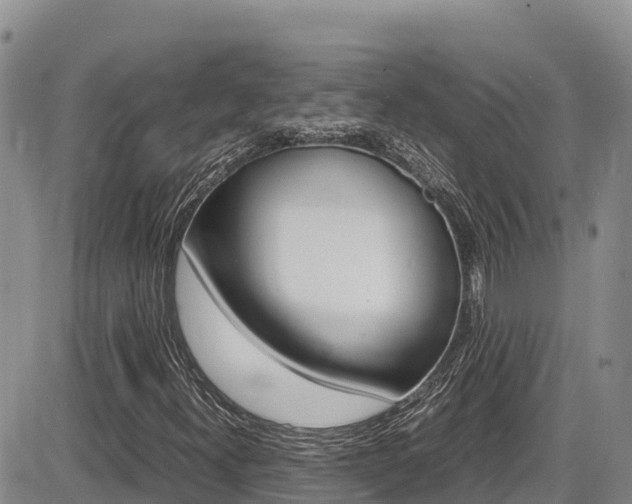 X0000086281300200703291052