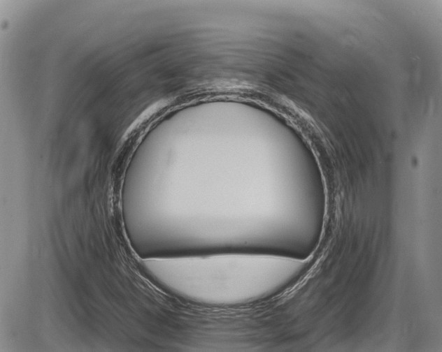 X0000086281306200703291052