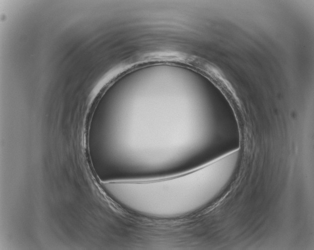 X0000086281328200703291053