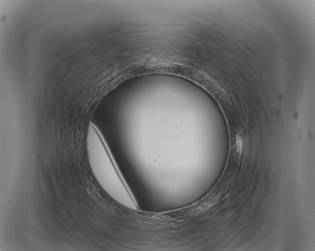 X0000086281348200703291052