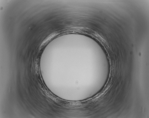 X0000086281354200703291052