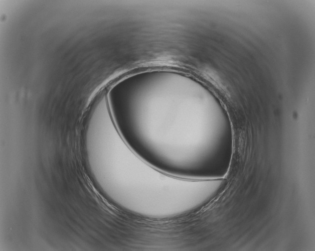 X0000086281356200703291052