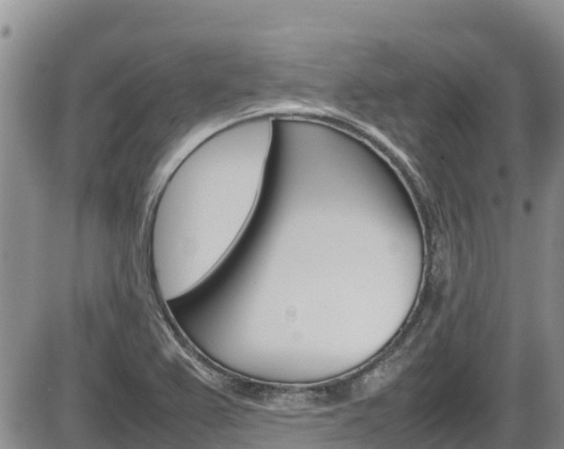 X0000086281367200703291052