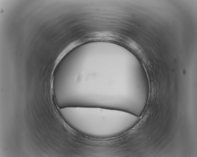 X0000086281370200703291052