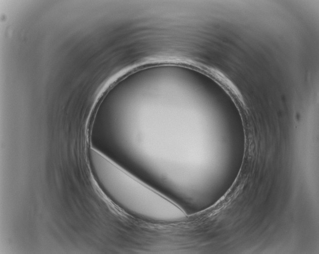 X0000086281380200703291052