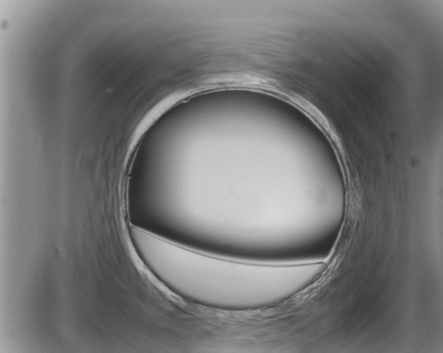 X0000086281389200703291051