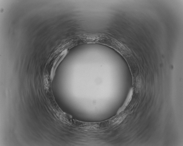 X0000086281394200703291051
