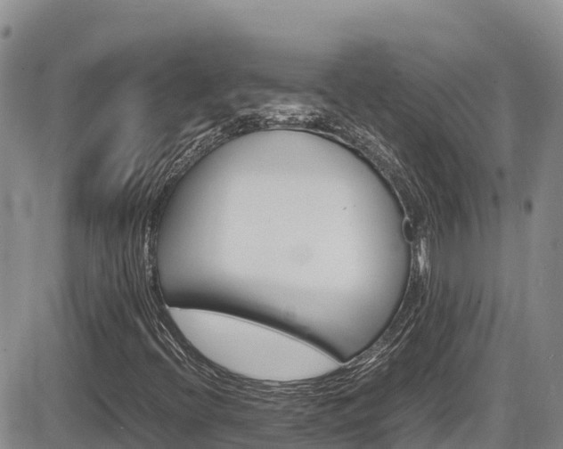 X0000086281396200703291051