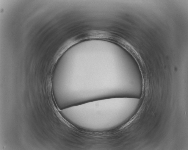 X0000086281417200703291051