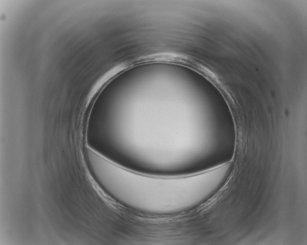 X0000086281426200703291051