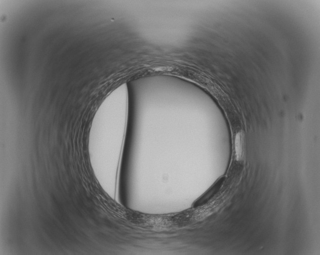 X0000086281443200703291051