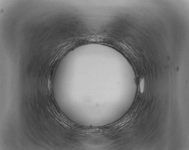 X0000086281444200703291051