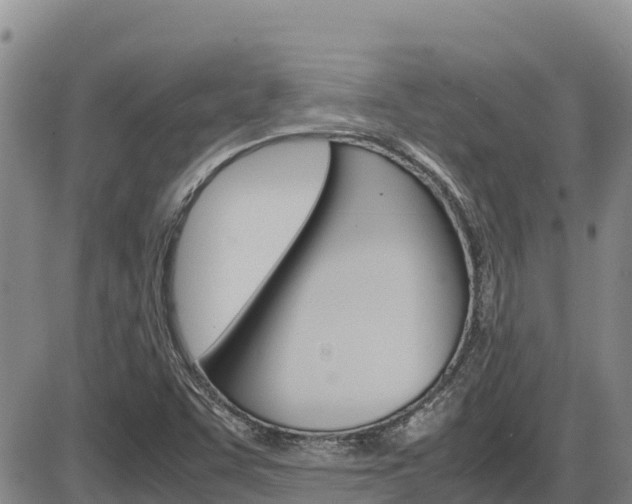 X0000086281455200703291050