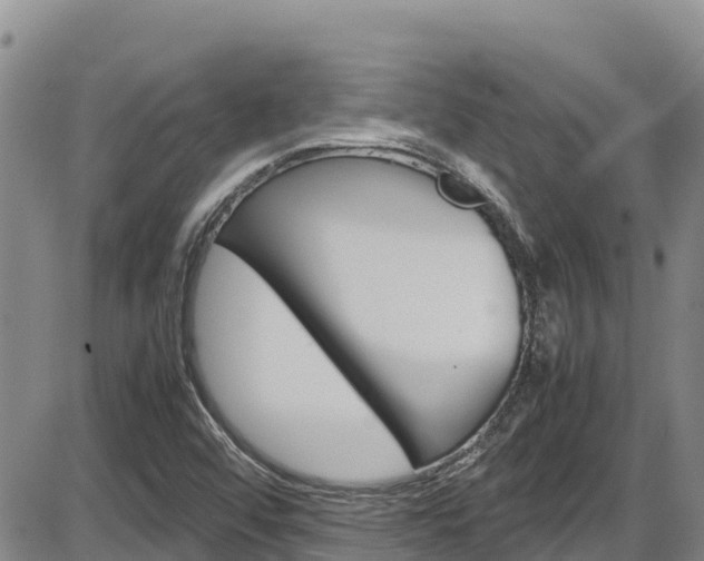 X0000086281456200703291050