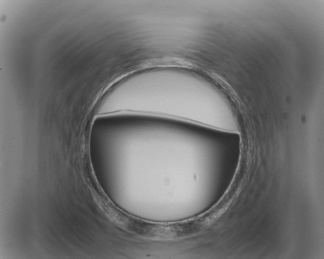 X0000086281457200703291050