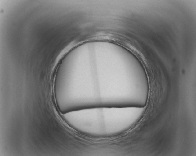 X0000086281467200703291050