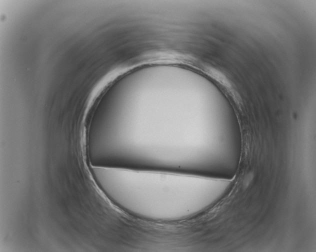 X0000086281472200703291050