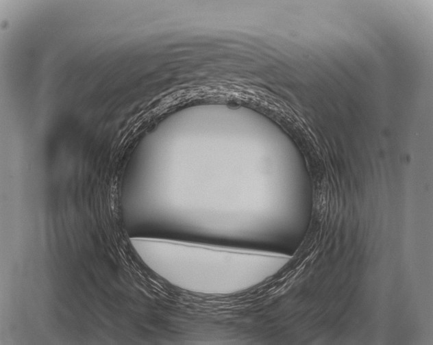 X0000086281490200703291049