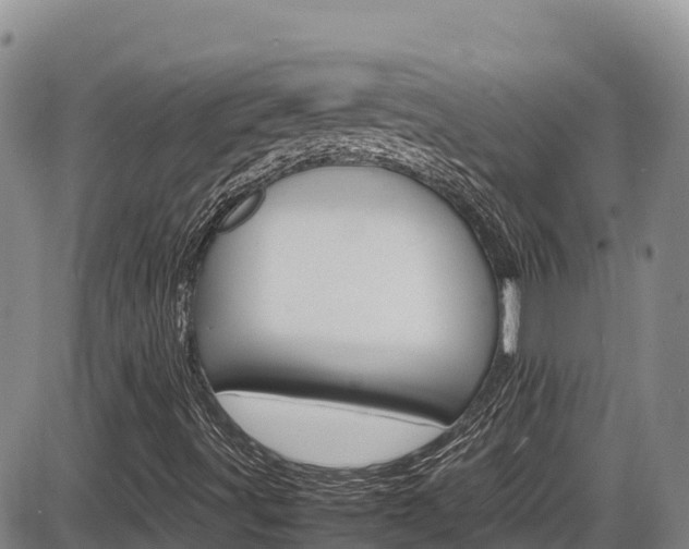 X0000086281491200703291049