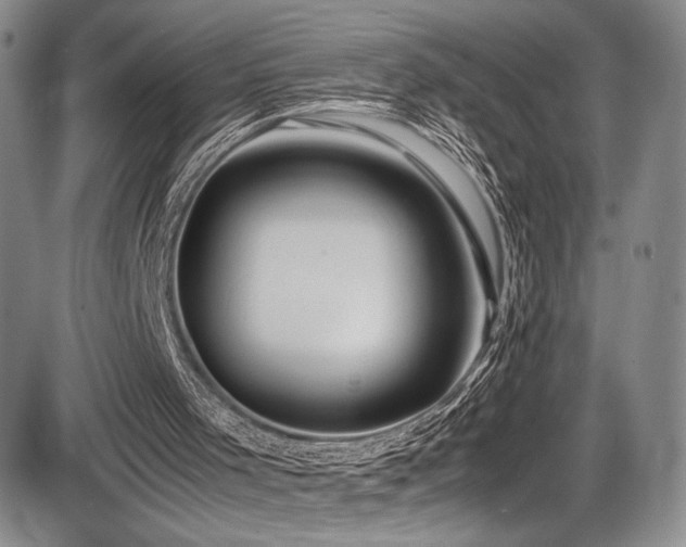 X0000086280001200703291513