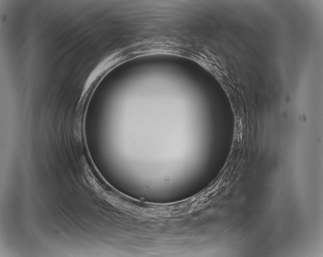 X0000086280004200703291513