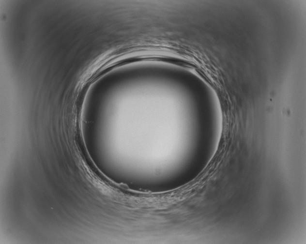 X0000086280005200703291513