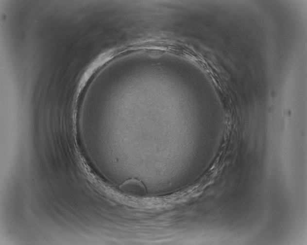 X0000086280006200703291513