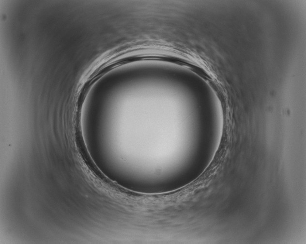 X0000086280007200703291513