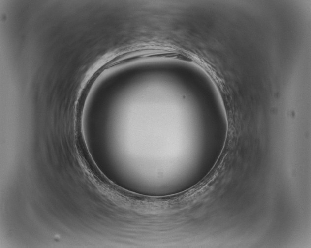 X0000086280008200703291513