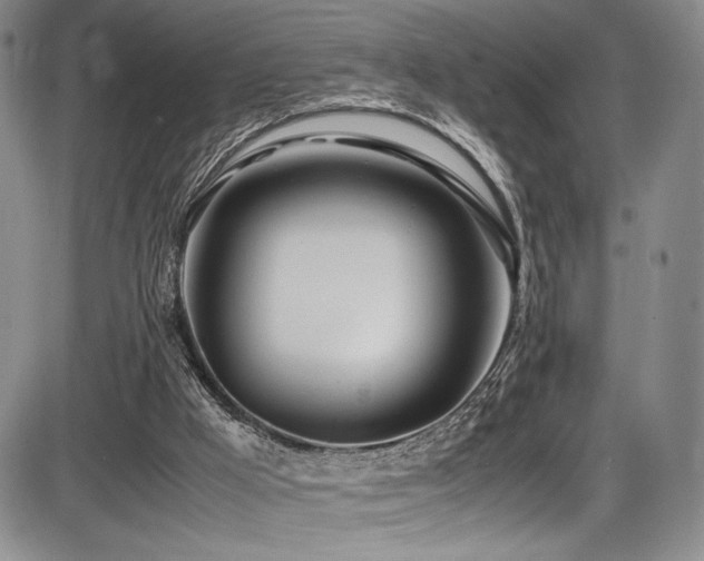 X0000086280009200703291513