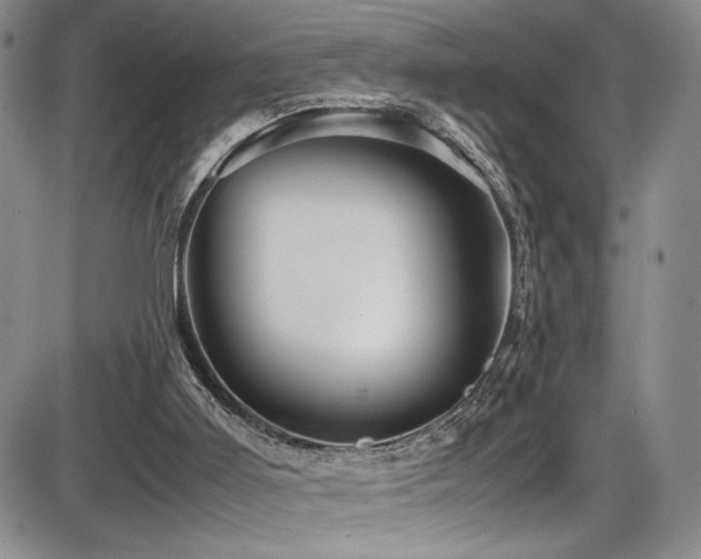 X0000086280011200703291513