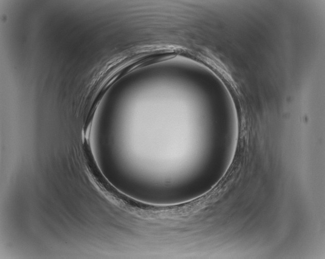 X0000086280013200703291513