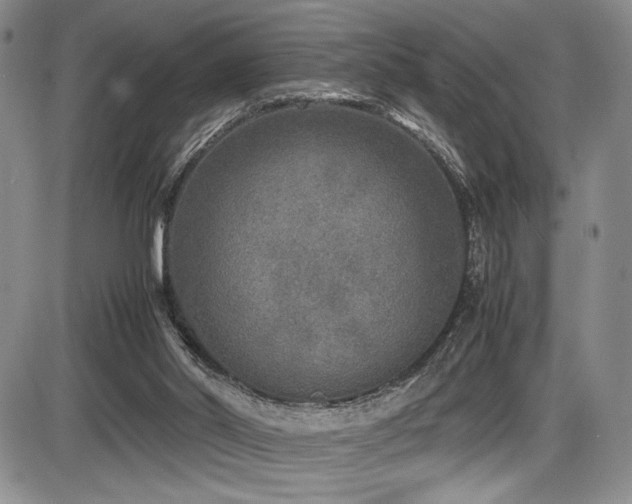 X0000086280014200703291513
